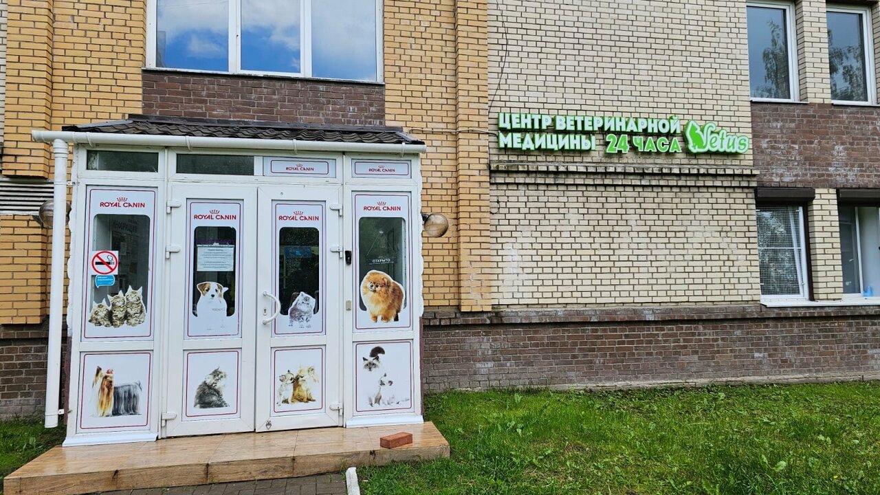 Ветус