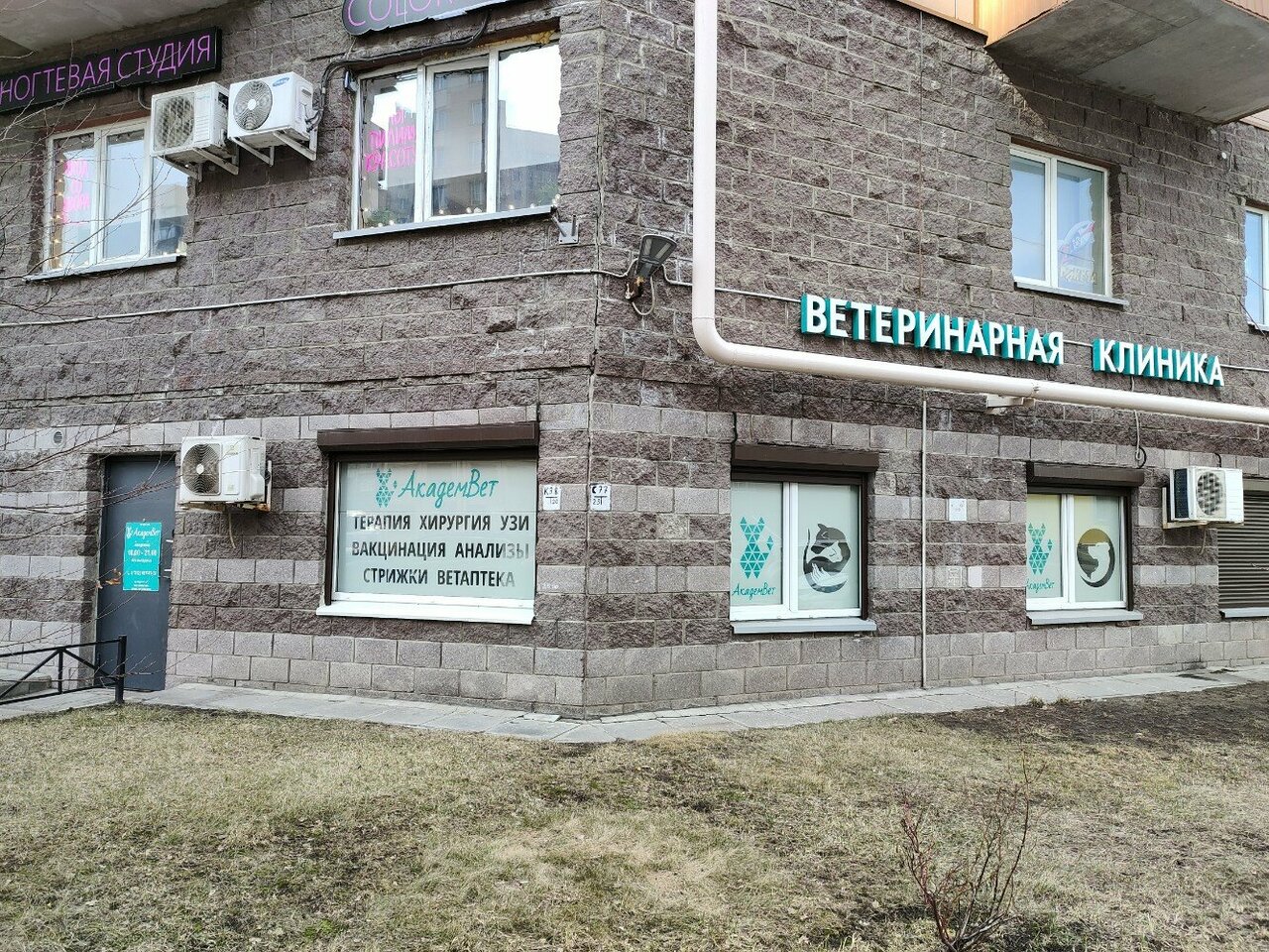 АкадемВет