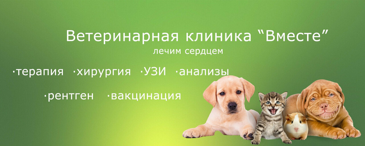Вместе