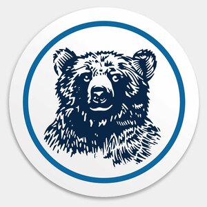 Логотип Ветеринарная офтальмология Реком