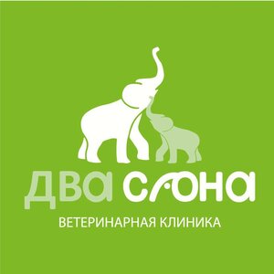 Логотип Два Слона