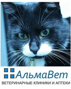 Логотип АльмаВет