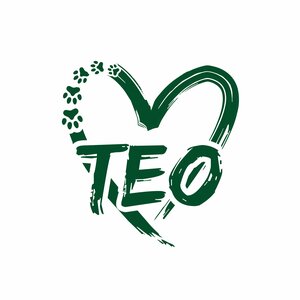 Логотип Тео
