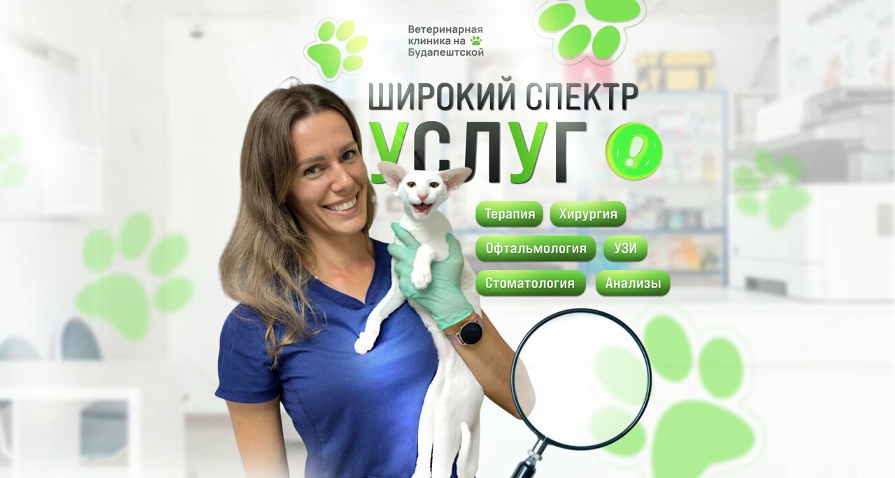 Ветеринарная клиника на Будапештской