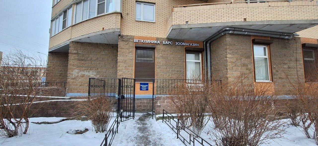 Барс