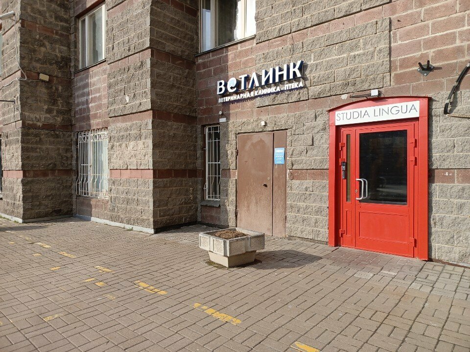 Ветлинк