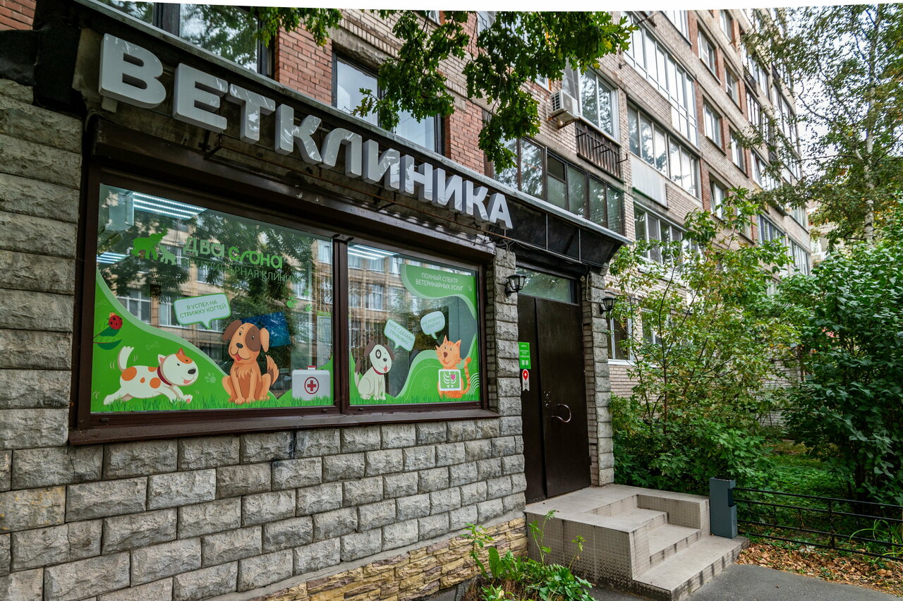 Два Слона — фото 3