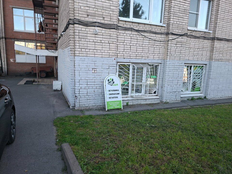 48 Лап