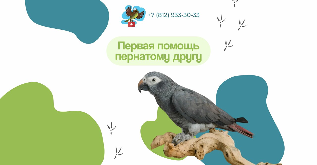 Чижик Пыжик