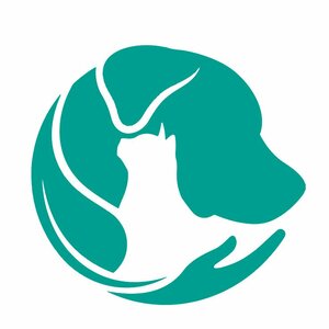 Логотип Академия здоровья животных