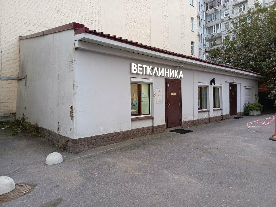Городская ветеринарная клиника