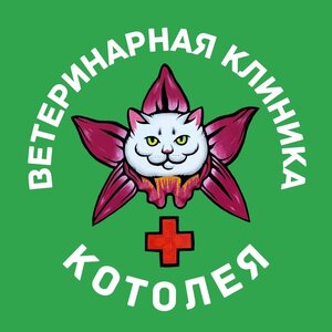 Логотип Котолея