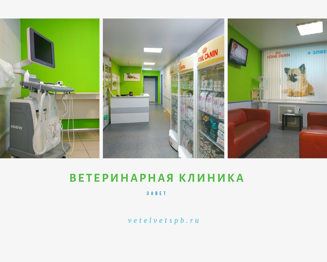 Элвет