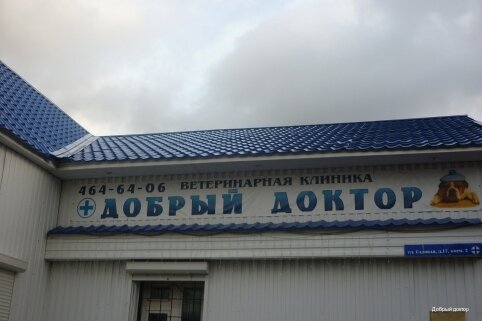 Добрый доктор — фото 3