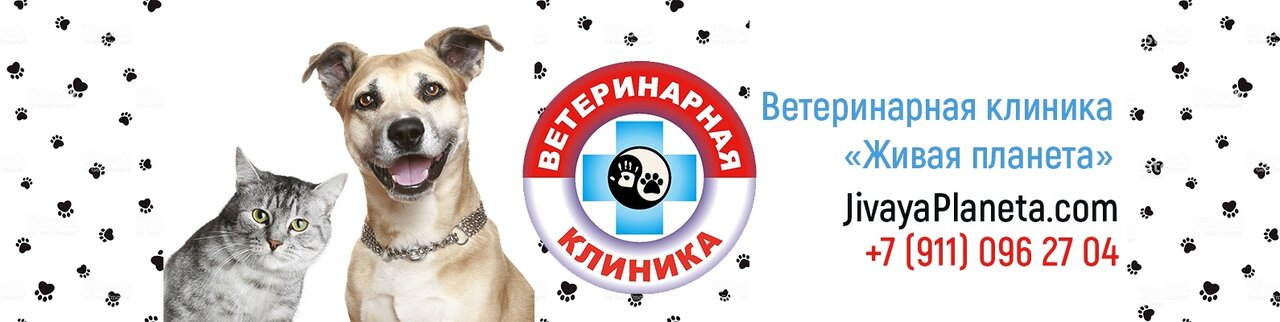 Живая планета — фото 2