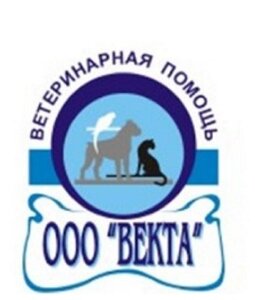Логотип Векта