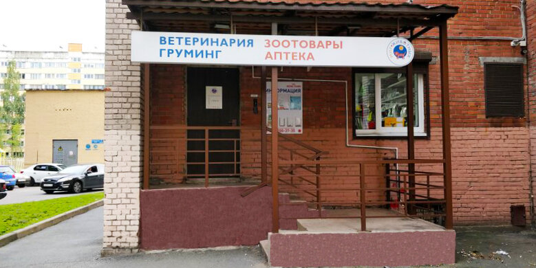 Мир животных