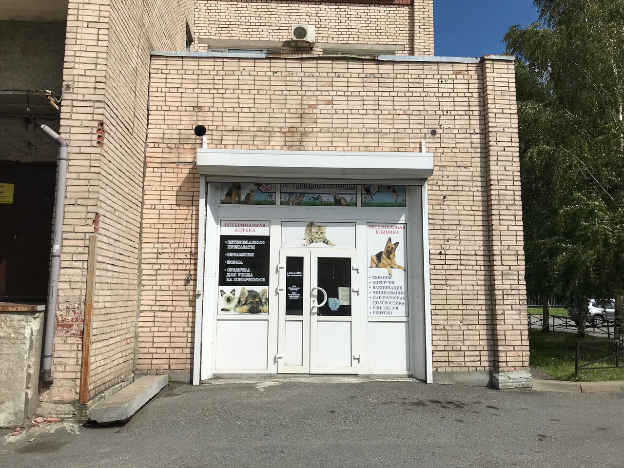 Ветеринарная больница — фото 2