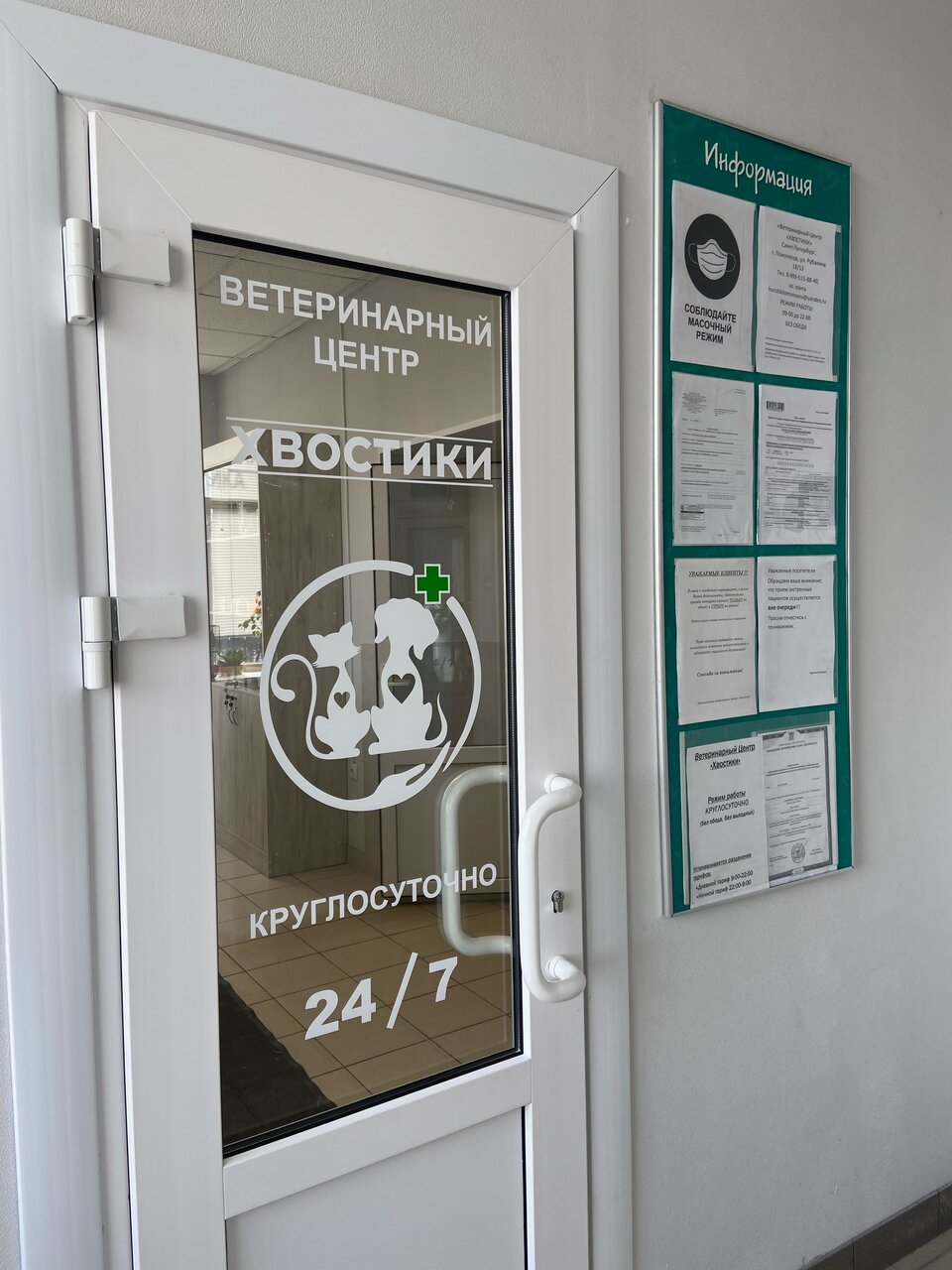 Хвостики — фото 2