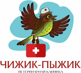 Логотип Чижик Пыжик
