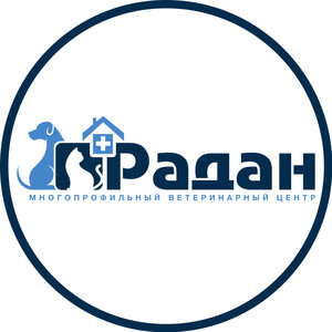Логотип Радан