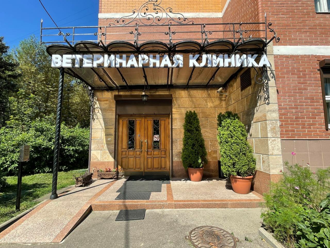 В Добрые Руки