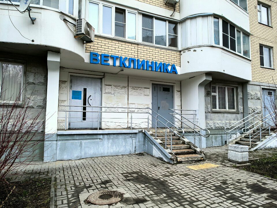 Ветэксперт