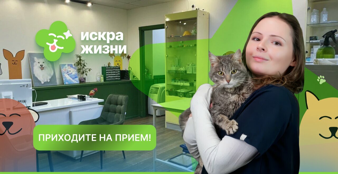 Искра жизни — фото 2