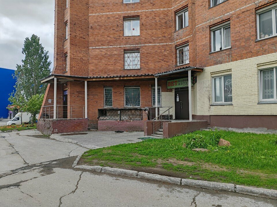 Ветсервис — фото 2
