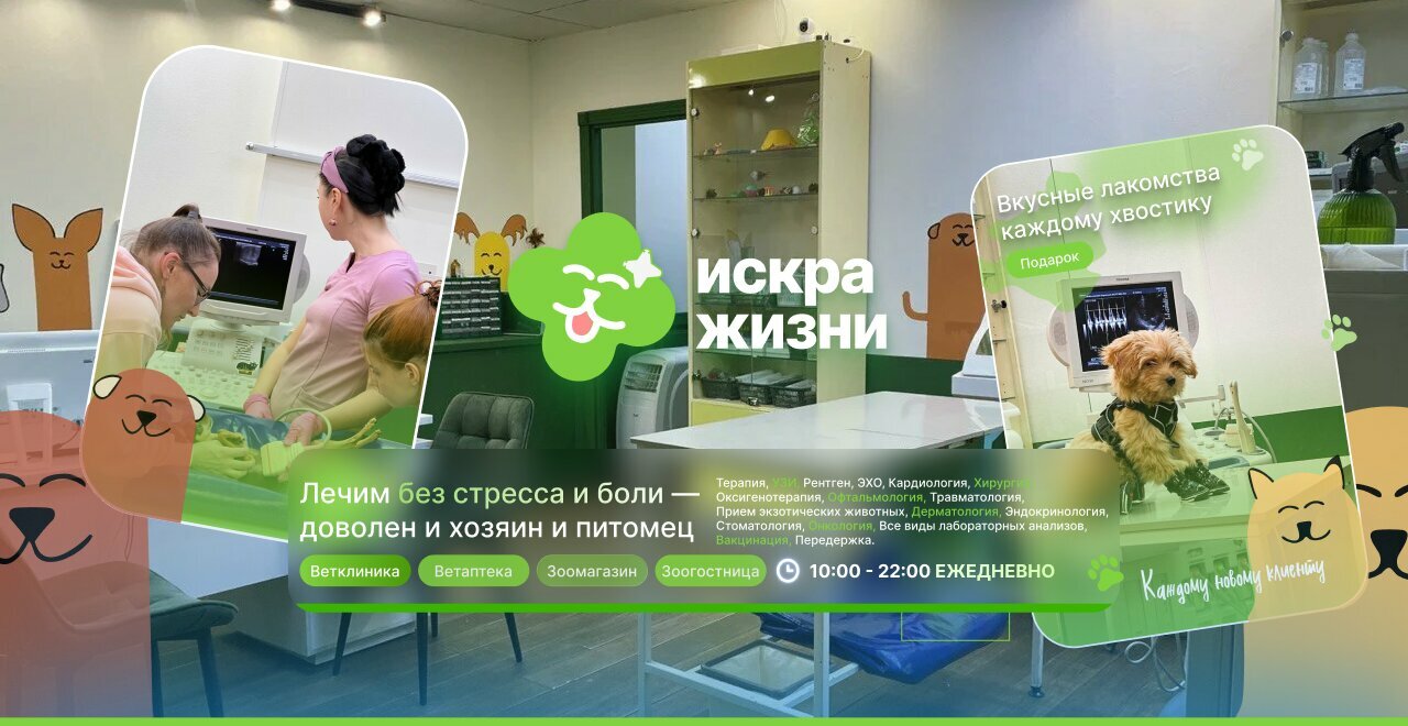 Искра жизни