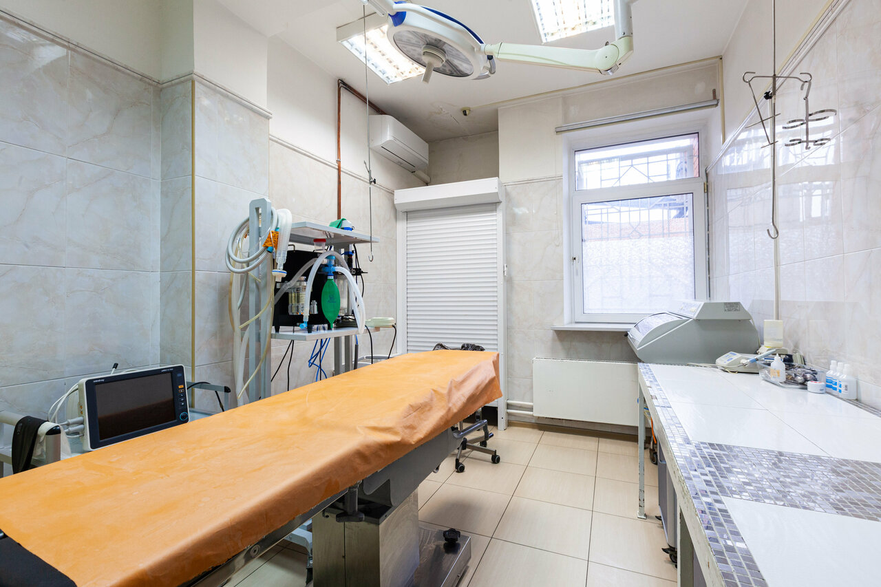 Беладонна — фото 2