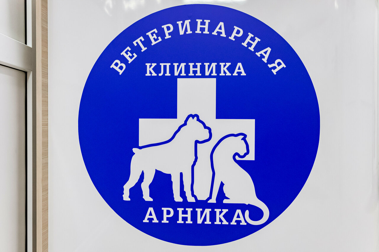Ветеринарная клиника Арника — фото 4
