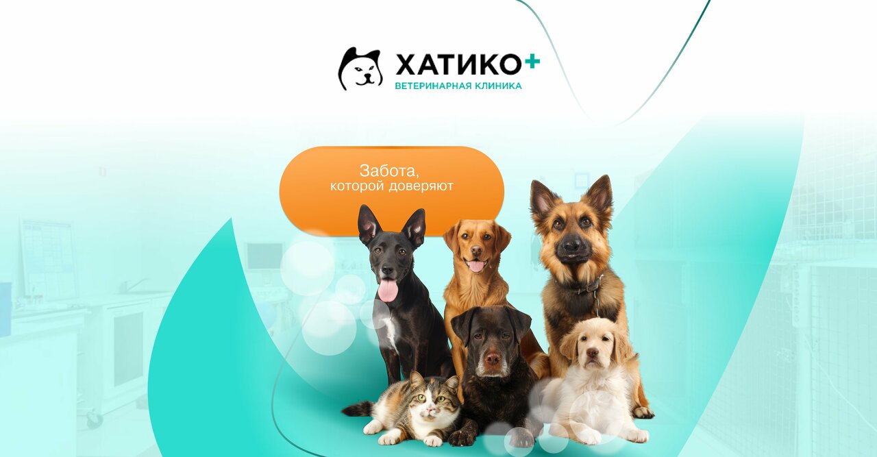 Хатико