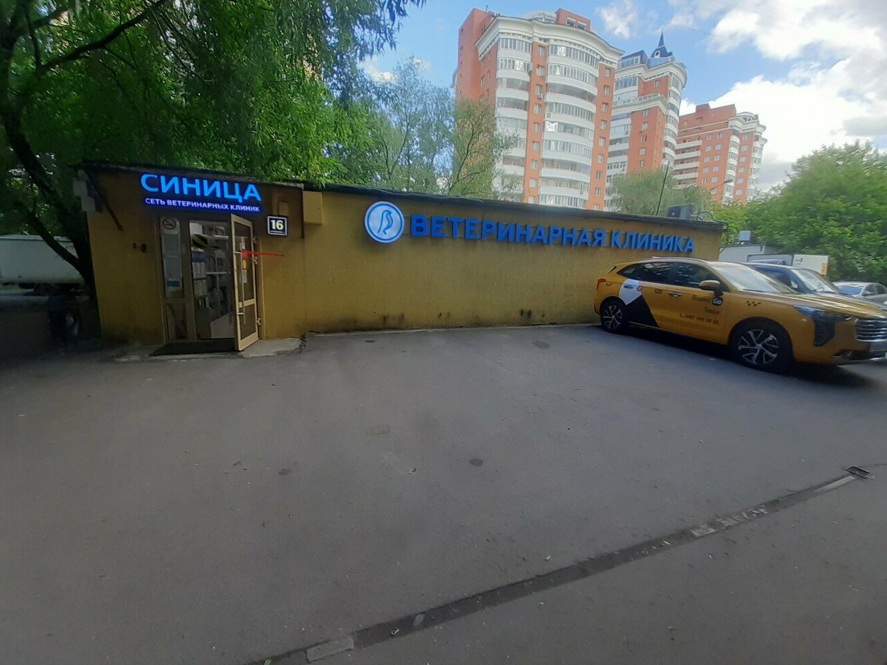 Синица