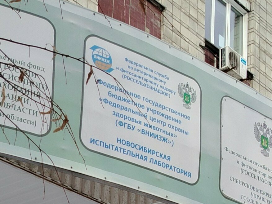 Федеральный центр охраны здоровья животных — фото 3
