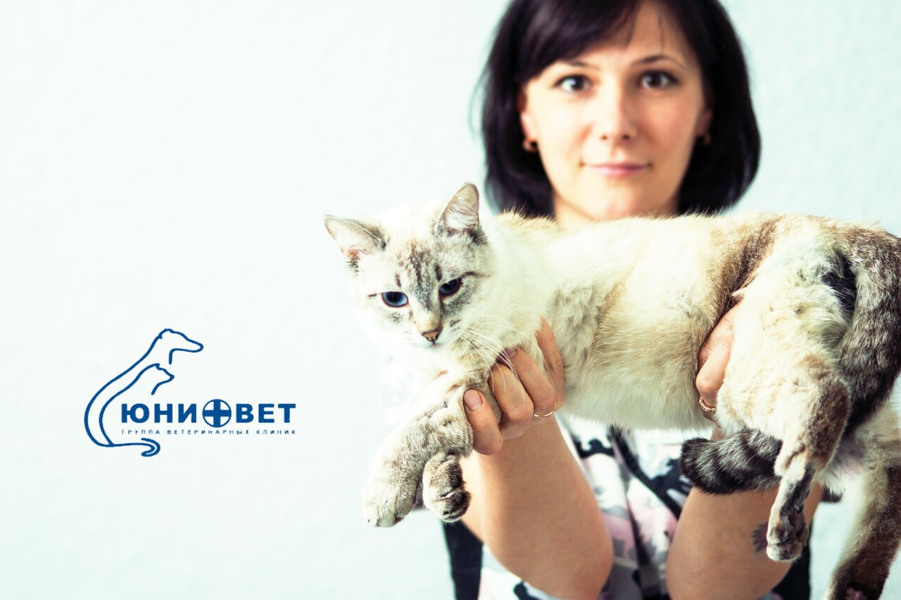 Юнивет