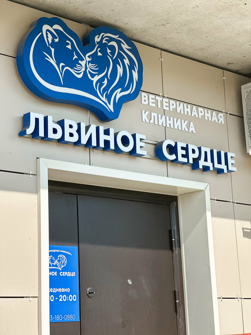 Львиное сердце — фото 4