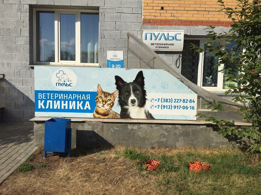 Пульс