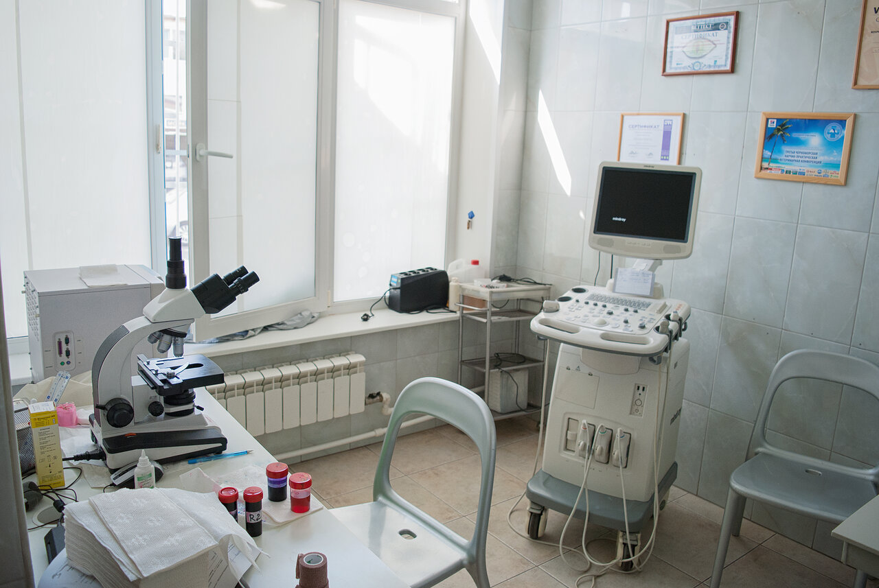 Алисавет