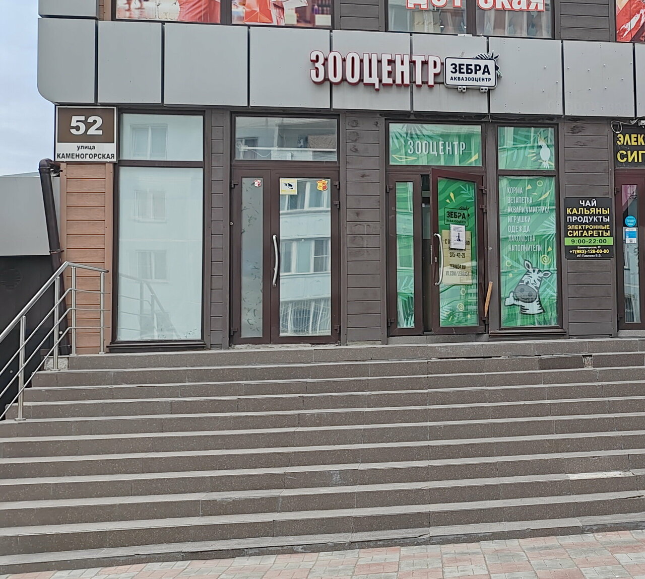 Зебра