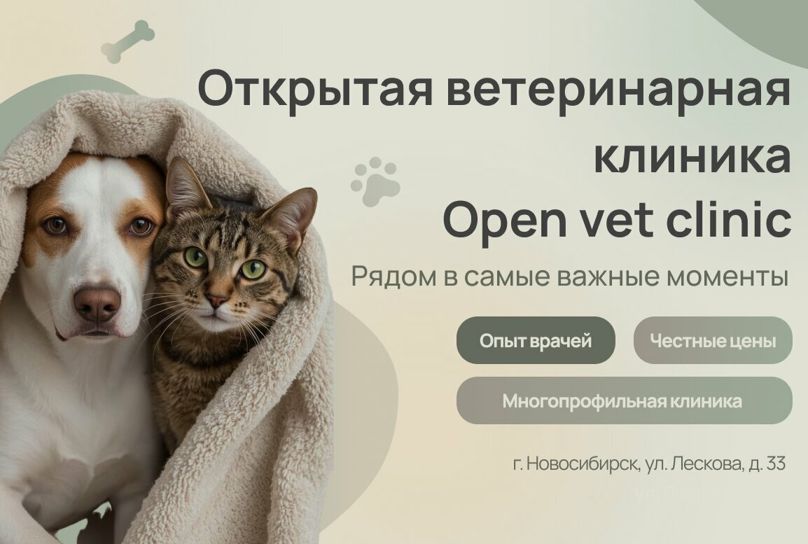 Открытая ветеринарная клиника