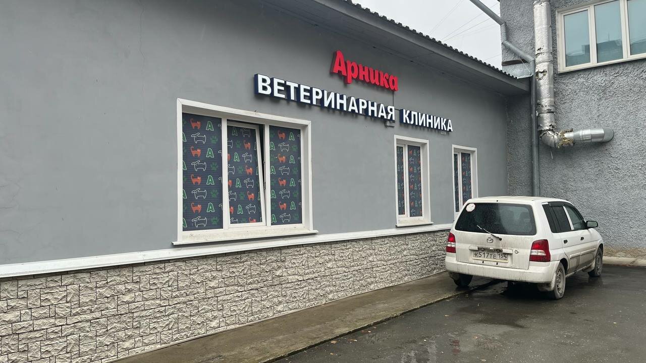 Арника — фото 3