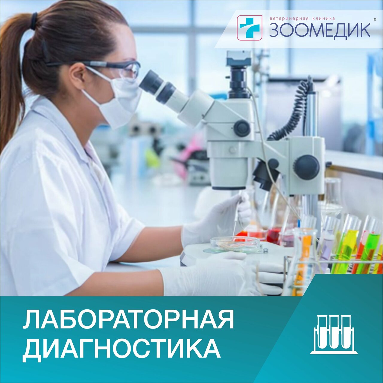 Зоомедик