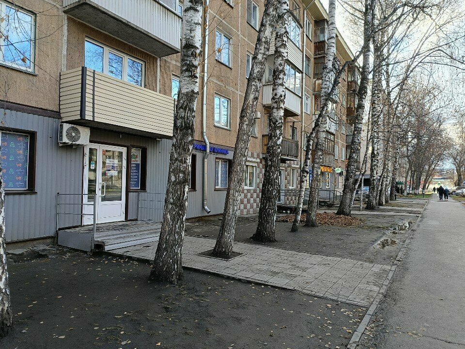 Арника — фото 3