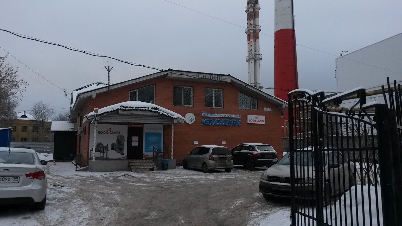 Колибри