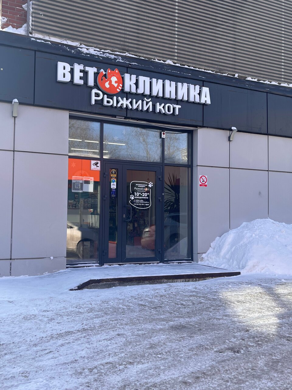 Рыжий кот