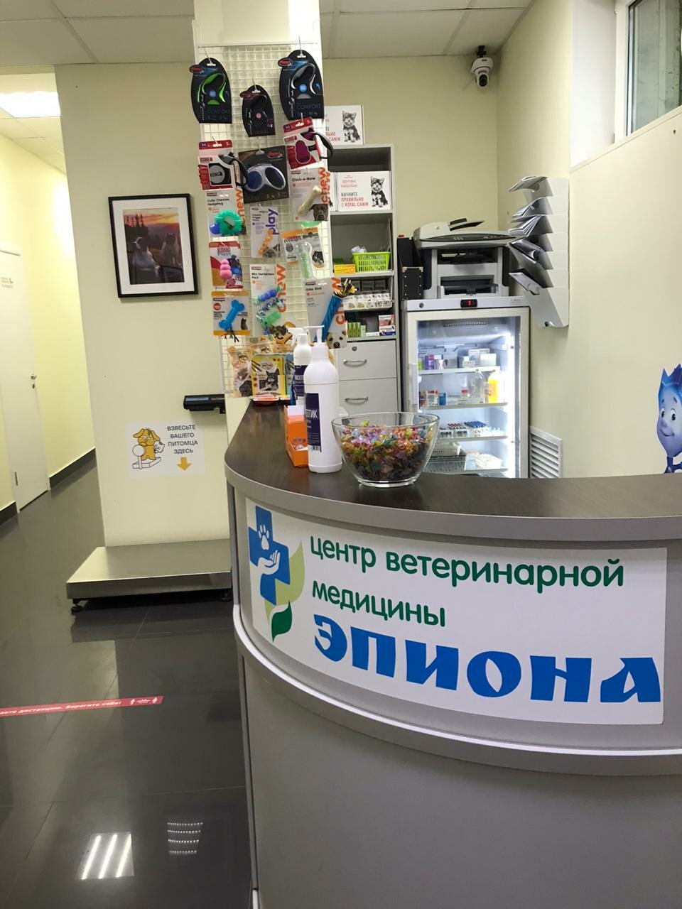 Эпиона