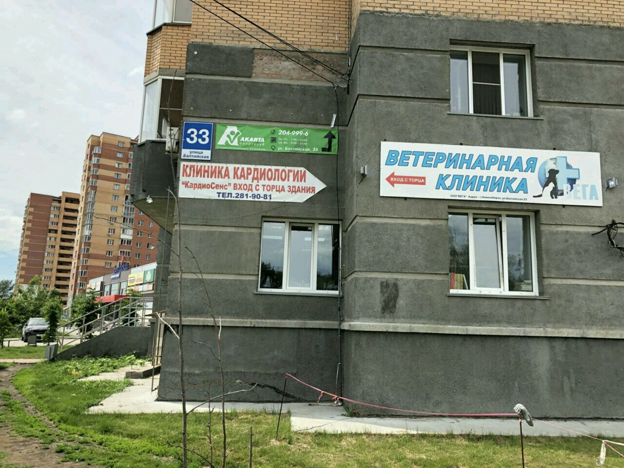 Вега