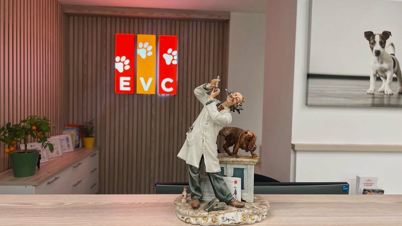 Европейский ветеринарный центр Evc