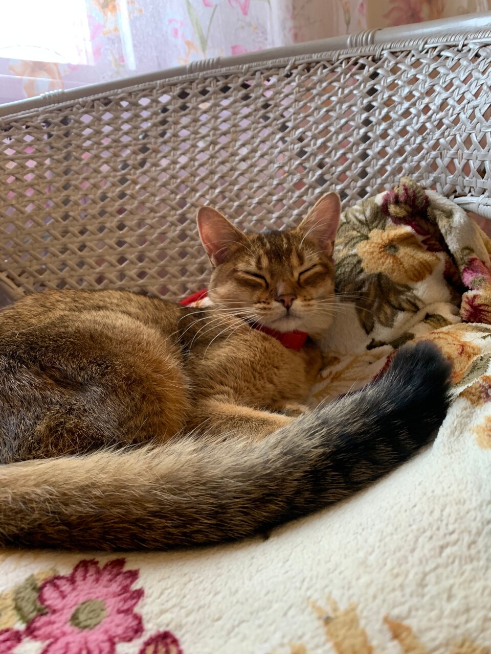Ветеринарный кабинет — фото 3